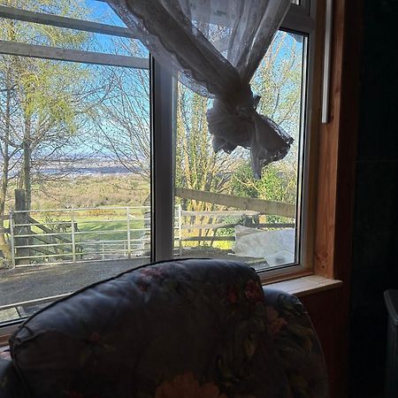 Cozy Room In A Barn With Farm View Dublin Buitenkant foto