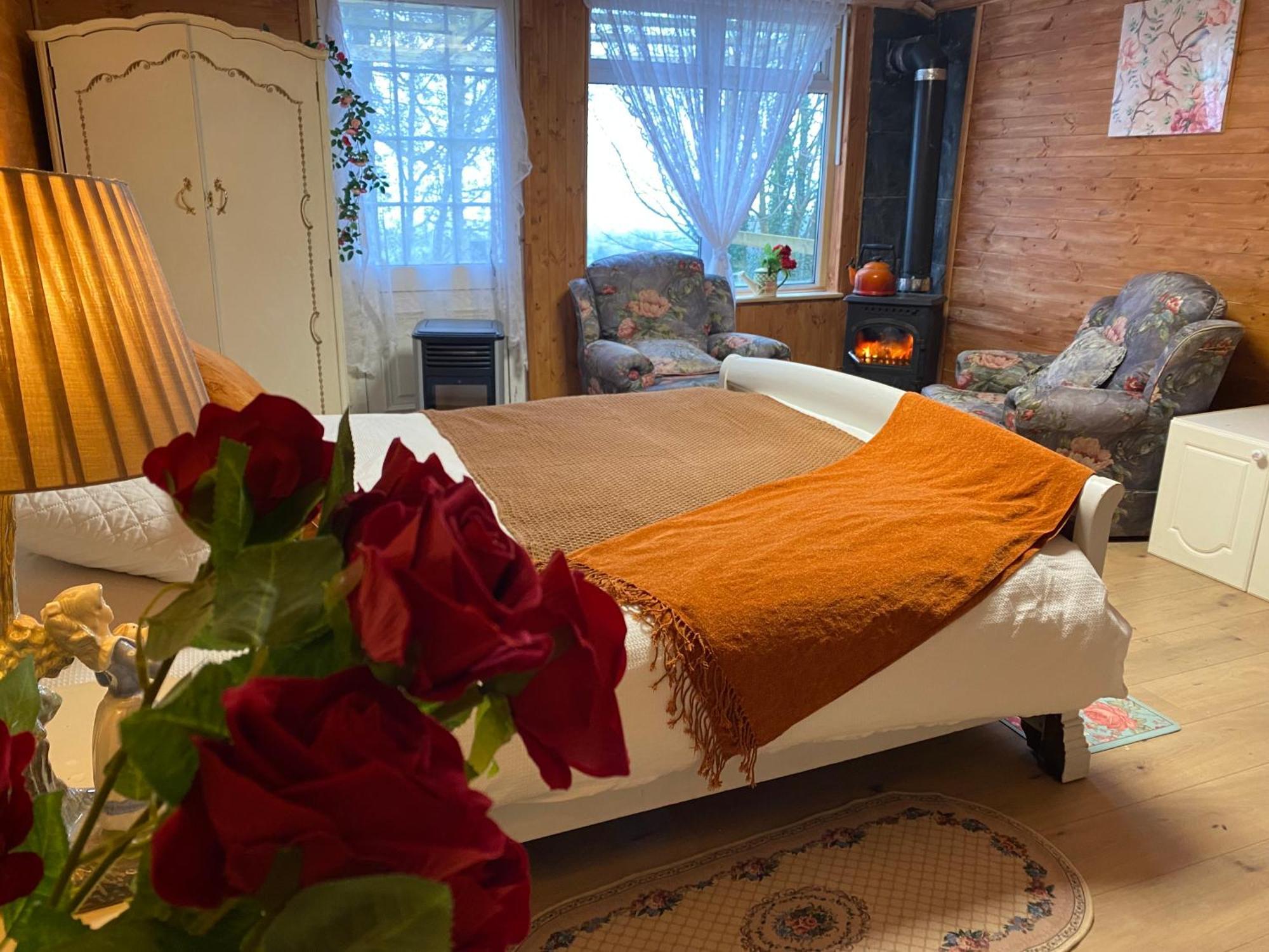 Cozy Room In A Barn With Farm View Dublin Buitenkant foto