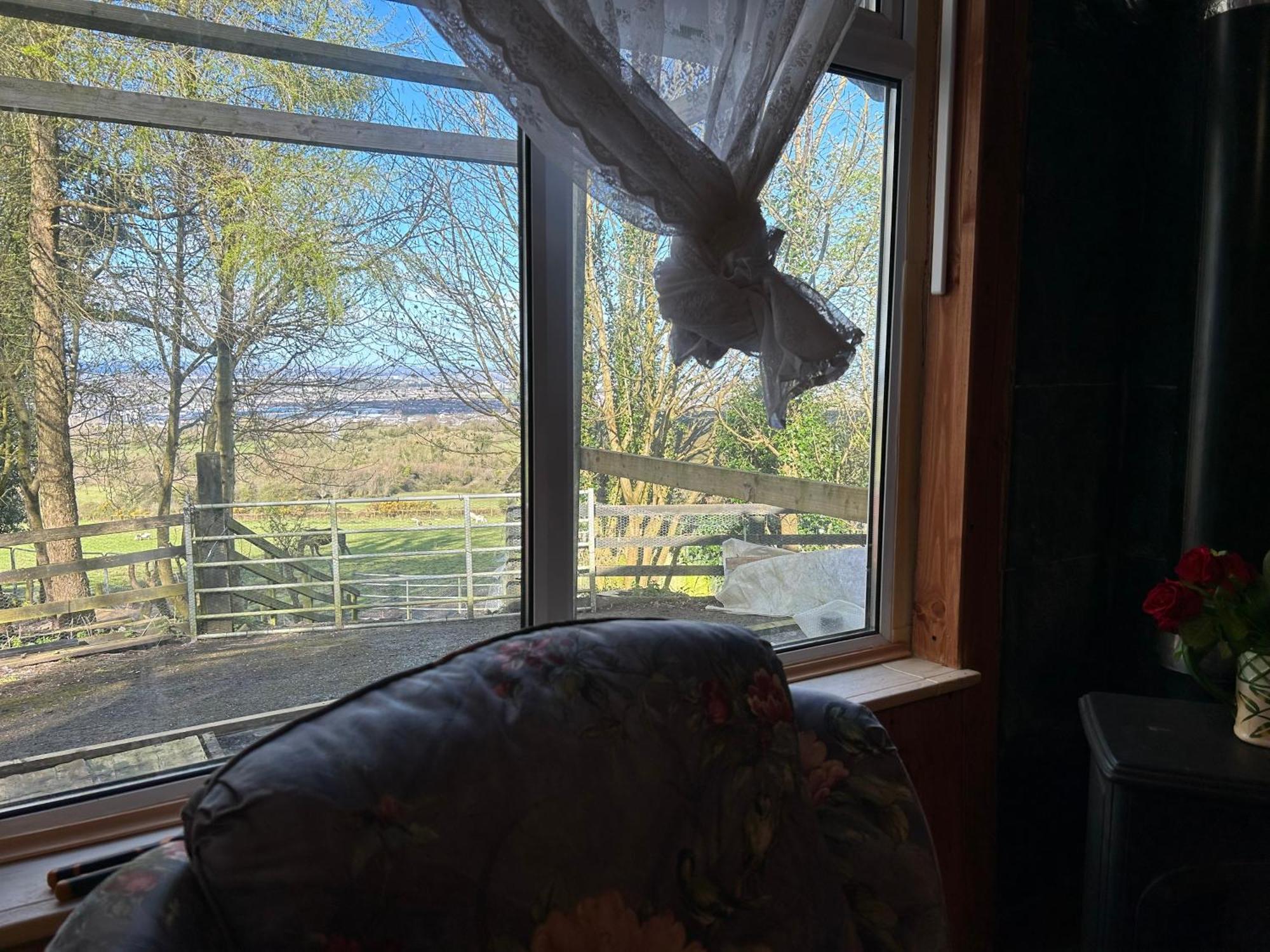 Cozy Room In A Barn With Farm View Dublin Buitenkant foto